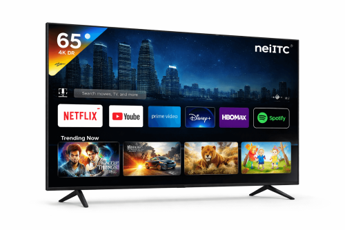 NEIITC TV 65"